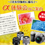 【7月のセミナー】アルファ体験会