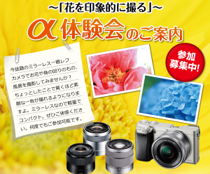 【7月のセミナー】アルファ体験会