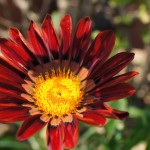 【7月12日】カメラセミナーレポート