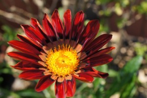 【7月12日】カメラセミナーレポート