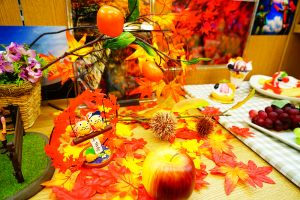 【11月3日】バスツアー前の入門セミナー開催します