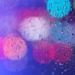 【店長撮影ブログ】桜を撮りたかったけど雨で予定変更