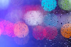 【店長撮影ブログ】桜を撮りたかったけど雨で予定変更