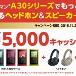 【今月迄】ウォークマンとヘッドホンorスピーカーのセット購入で最大5,000円キャッシュバックキャンペーン!【応募者全員に当たる】