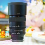 本日3/25は・・・実は撮影会。そしてEマウントSTFレンズ「SEL100F28GM」試し撮り～