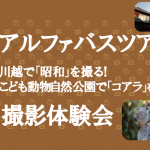 【10/27開催】コアラと川越の街並みを撮る!α(アルファ)撮影会バスツアー