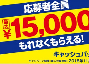 ソニービデオカメラ キャッシュバックキャンペーン 「最大15,000円」