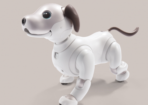 aibo Family Stories(アイボ ファミリー ストーリーズ)参加オーナー様募集のお知らせ