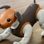 「aibo」2019年限定カラーモデル  チョコエディション登場！