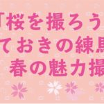 【3/30開催】桜を撮ろう！春の魅力撮影会開催