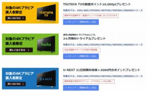 BRAVIA 2019モデルで利用できるお得なキャンペーンたちを利用してネット動画を楽しもう！