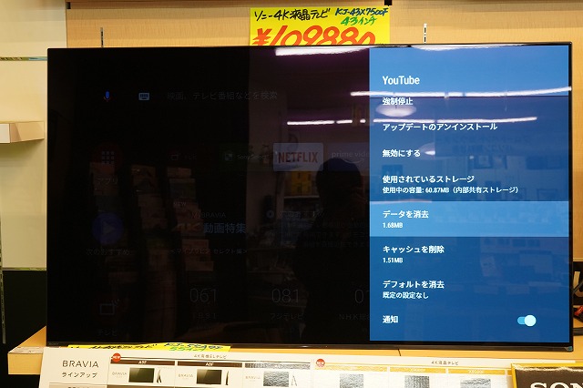 ブラビア youtube 見れ ない