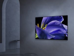 2019年モデルの4K BRAVIA 有機ELモデルの違いってナニ?比較してみました!