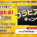 ブラビア・ロトキャンペーン テレビを買ったその場で当たる!?最大10万円のキャッシュバックキャンペーン!【ハズレなし】