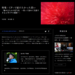 【α universe】中止になってしまったセミナー内容紹介 並木隆氏による「CP+で届けたかった思い」
