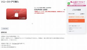 【裏ワザ?】定額給付金の10万円を頭金にして手数料無料の分割クレジットを使おう!【ソニーストア】