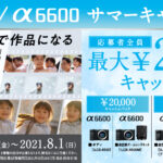 α6400/α6600サマーキャンペーン 応募者全員に最大20,000円キャッシュバック!