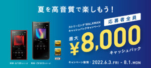【夏を高音質で楽しもう!】ストリーミングWALKMANキャッシュバックキャンペーン!【最大8,000円キャッシュバック】