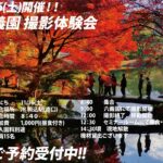 【11/16(土)開催!!】六義園 紅葉撮影会